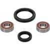 PIVOT WORKS WHEEL BEARING KIT PREMIUM - 25-1051-P - Image 2