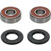 PIVOT WORKS WHEEL BEARING KIT PREMIUM - 25-1093-P - Image 2