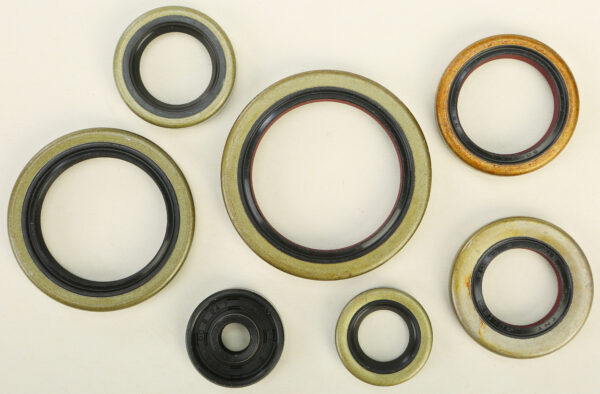 VERTEX OIL SEAL SET - 822976