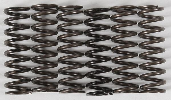 HINSON HIGH TEMP SPRINGS 6 SPRINGS - CS216-6-0315