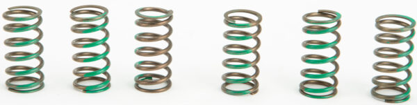 PRO CIRCUIT CLUTCH SPRINGS - CSK09065