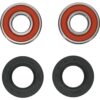 PIVOT WORKS WHEEL BEARING KIT PREMIUM - 25-1093-P - Image 3