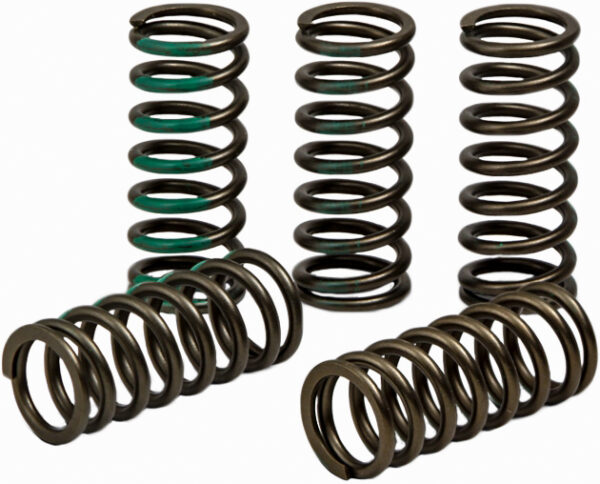 PRO CIRCUIT CLUTCH SPRING KAW - CSK19450-CS