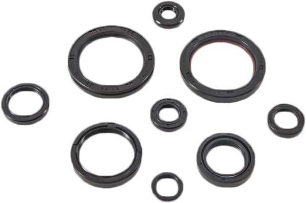 VERTEX OIL SEAL SET - 822989