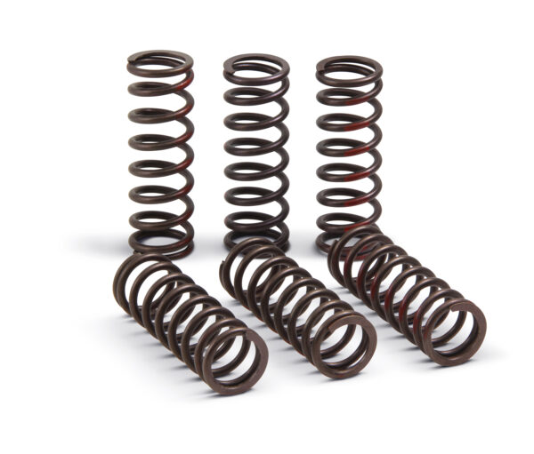 PRO CIRCUIT CLUTCH SPRINGS PRO CIRCUIT - CSH21450-CS