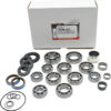 ALL BALLS TRANSMISSION BEARING AND SEAL KIT - 25-7011 - Image 3