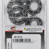 ALL BALLS TRANSMISSION BEARING AND SEAL KIT - 25-7014 - Image 4